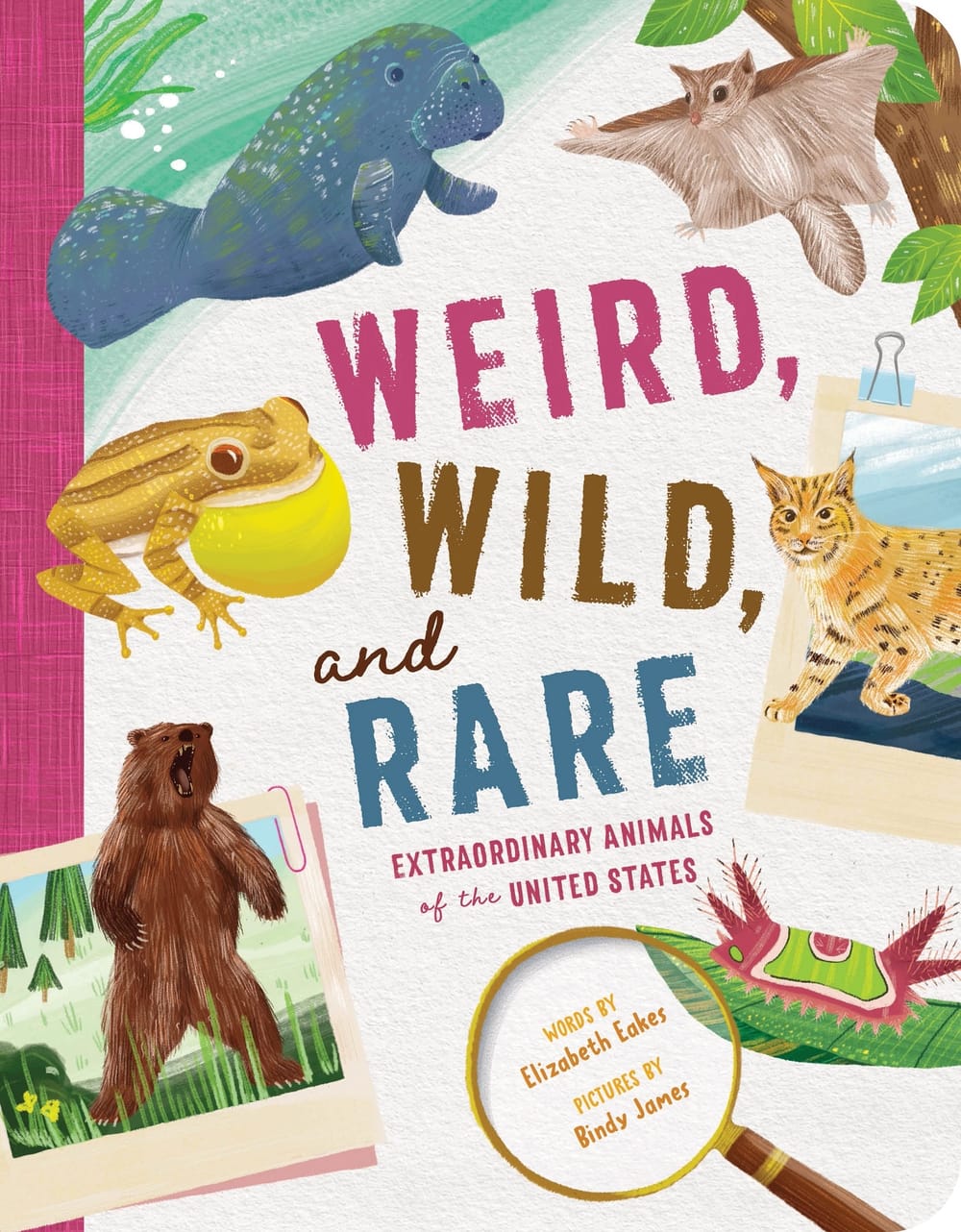 Cover of Weird, Wild, and Rare by Elizabeth Eakes